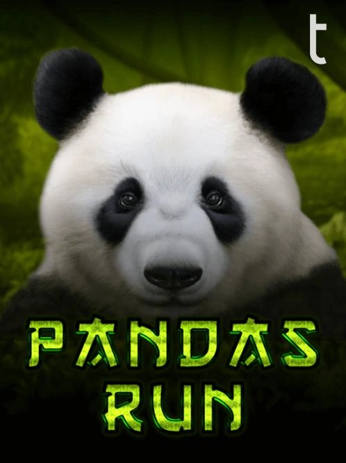 Enquanto voce dormia filme